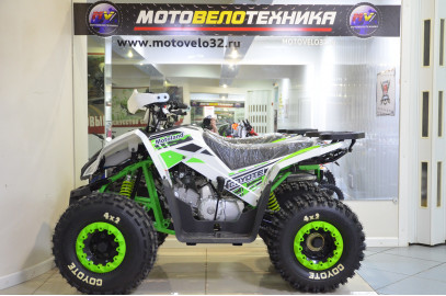 Запчасти для Motoland COYOTE 125