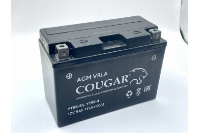 Аккумулятор 12V 9Ah Cougar AGM1209.1