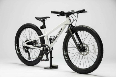 Велосипед TimeTry TT246 9S 20"