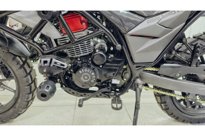 Мотоцикл Regulmoto Duke Pro 300