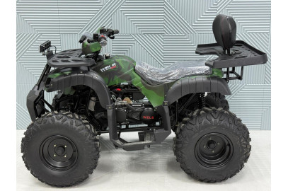 Комплект запчестей WELS THUNDER 200 (AX200) HS NEW