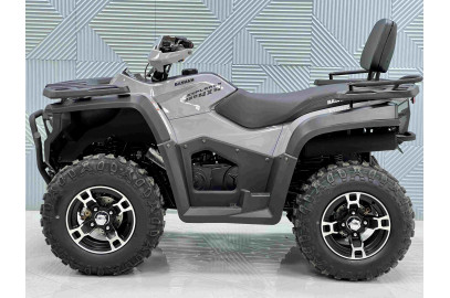 Снегоболотоход Bashan BS320AU Explorer лебедка