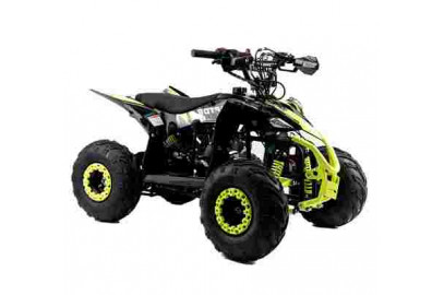 Комплект запчастей Racer Raptor 110