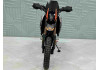 Мотоцикл Regulmoto Cyclone 