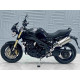 Мотоцикл Triumph Speed Triple 1050